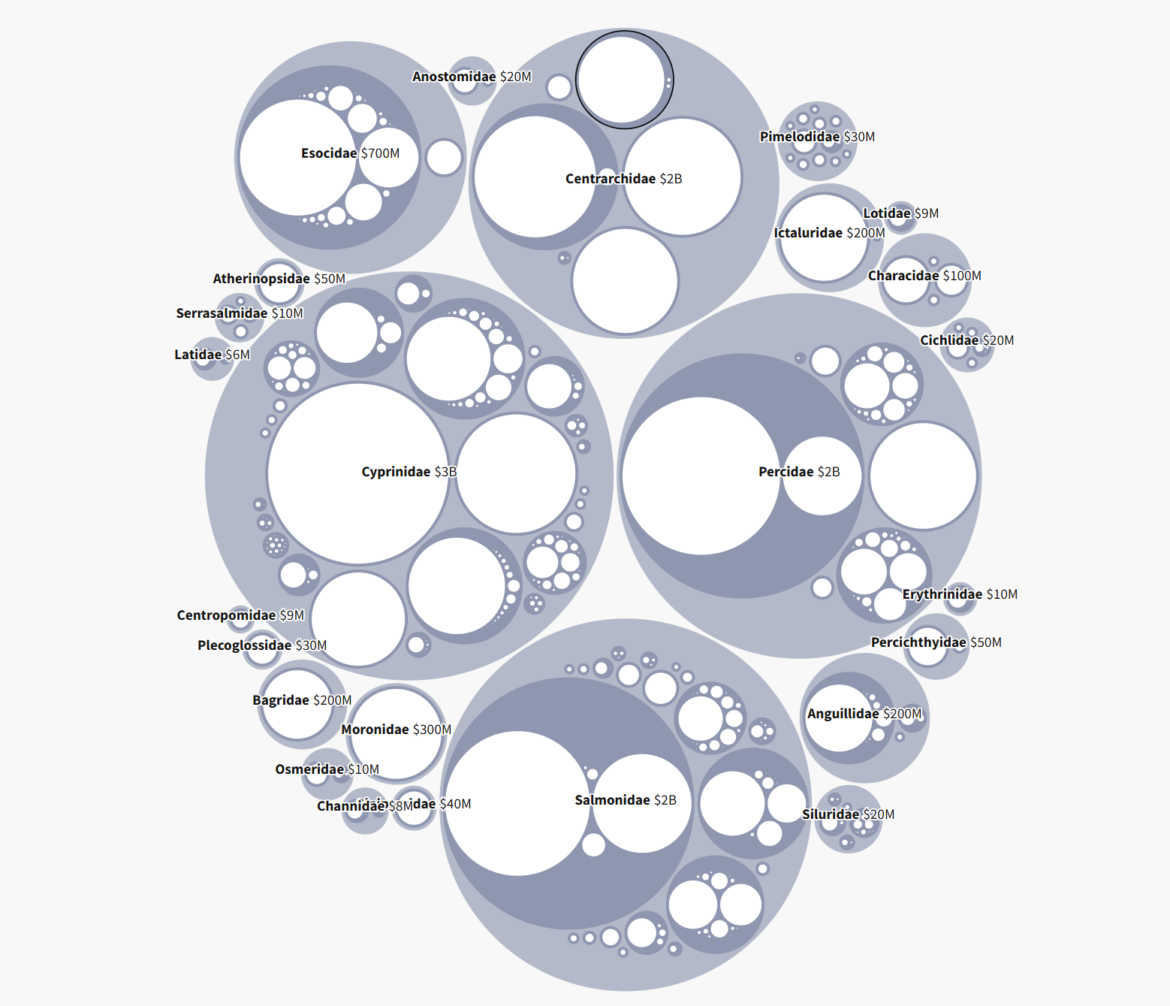 Monitoring Fish Harvests – Center for Data Innovation